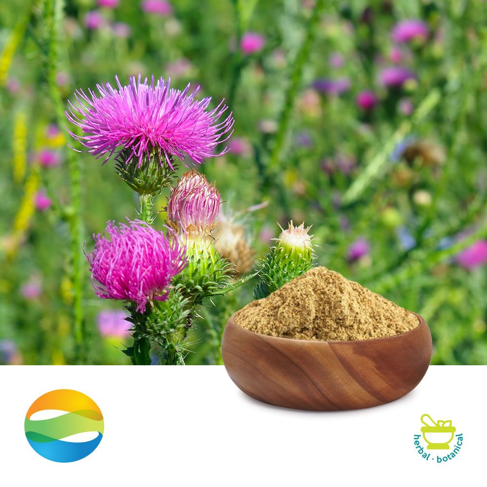 Milk Thistle Extract 80%(UV) Silymarin by CCGB
