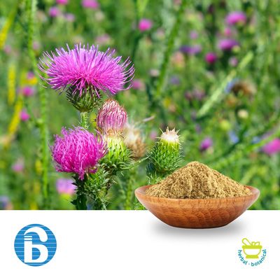 Milk Thistle Extract 80% Silymarin by BannerBio