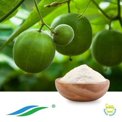 Monk Fruit Extract 50% Mogroside V by Hunan NutraMax