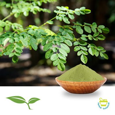 Moringa Leaf Powder by American Botanicals