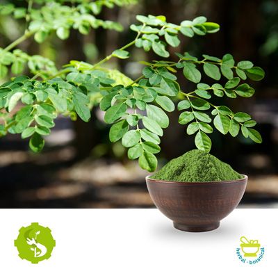 Moringa Leaf Powder by Hunan Essence