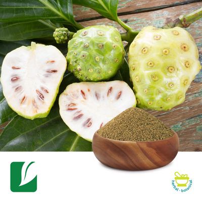 Noni Fruit Powder by Xi'an Longze