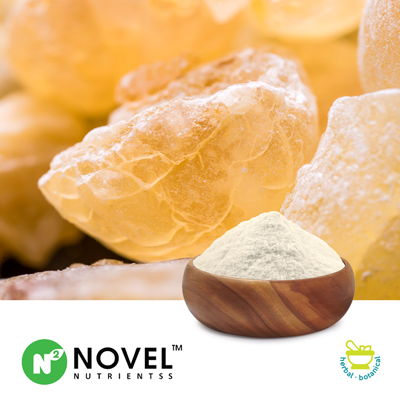 Boswellia Serrata Extract AKBA 60% by Novel Nutrientss