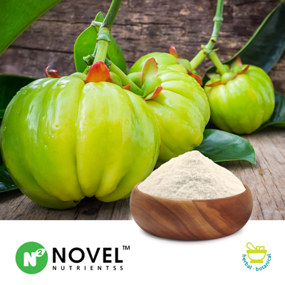 Garcinia Cambogia Extract 60% HCA by HPLC by Novel Nutrientss