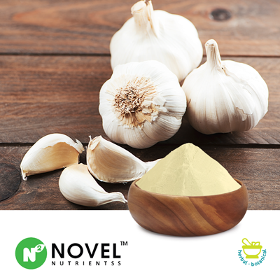 Garlic Powder by Novel Nutrientss