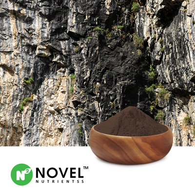 Shilajit Extract 20% Fulvic Acid by Novel Nutrientss