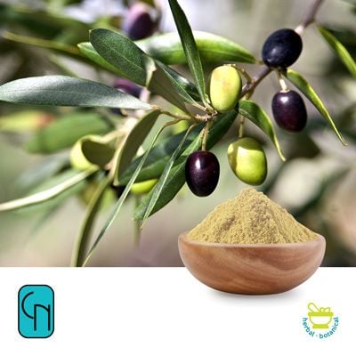 Olea25® (Olive Leaf P.E. 25% Hydroxytyrosol) by Certified Nutraceuticals