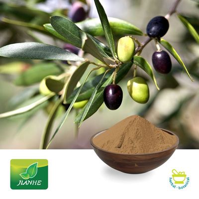 Olive Leaf P.E.40% Oleuropein by Jianhe Bio