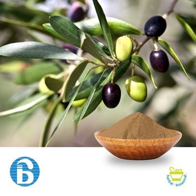 Olive Leaf Extract 20% Oleuropein by BannerBio