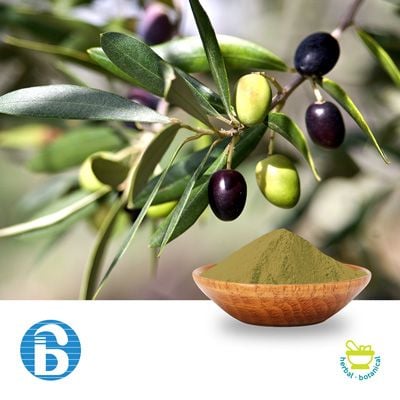 Olive Leaf Extract 40% Oleuropein by BannerBio