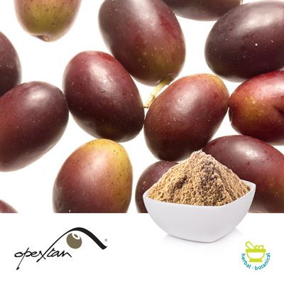 Opextan® (Olive Fruit Extract) by Indena