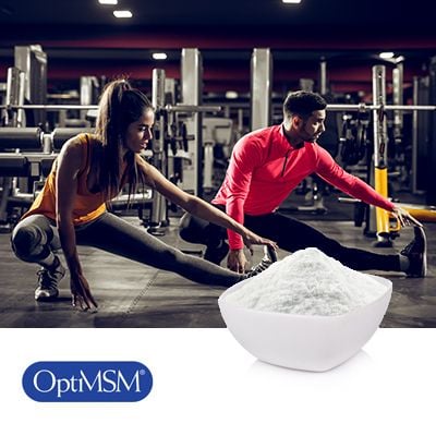 OptiMSM® Microprill with 0.5% Amorphous Silicon Dioxide by Bergstrom Nutrition