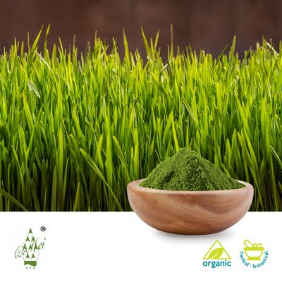 Organic Barley Grass Powder (BRC Certified Factory) by Qimei