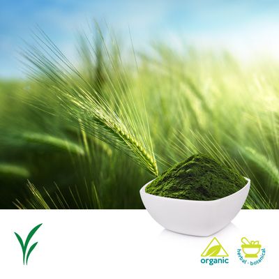 Organic Barley Grass Powder by U.S. Greens