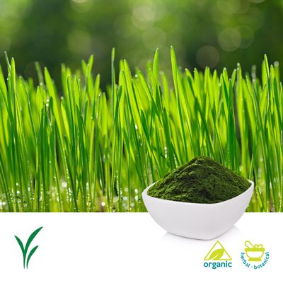 Organic Wheatgrass Powder by U.S. Greens