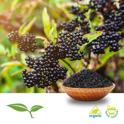Elderberry (Whole, Organic) by American Botanicals
