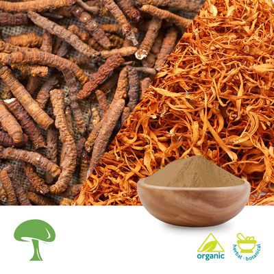 Organic Cordyceps Blend Extract Mushroom Powder 50% Polysaccharide by Aloha Medicinals