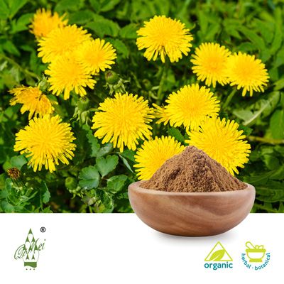 Organic Dandelion Powder by Qimei