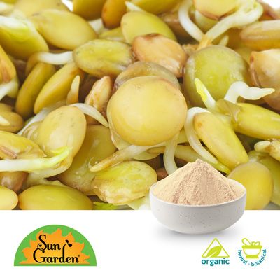 Organic Green Lentil Sprout Powder by SunGarden