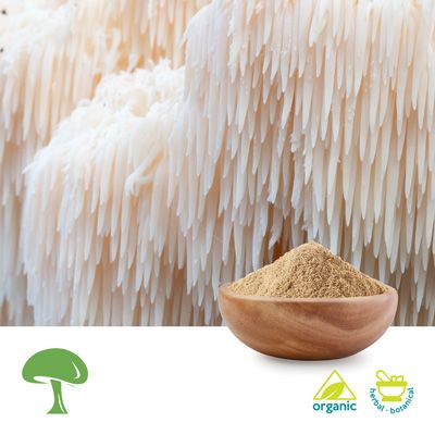 Organic Hericium Erinaceus Mushroom Powder by Aloha Medicinals