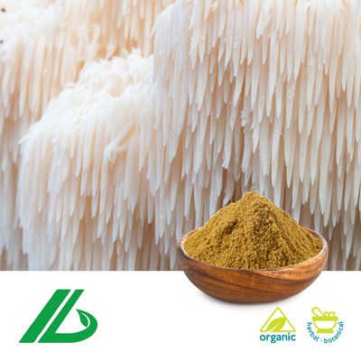 Organic Lion's Mane Extract 30% Polysaccharide by Laybio Natural