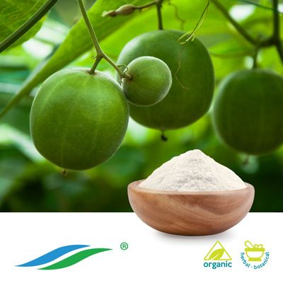 Organic Monk Fruit Extract 25% HPLC by Hunan NutraMax