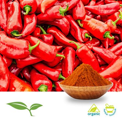 Paprika Powder, Smoked (Organic) by American Botanicals