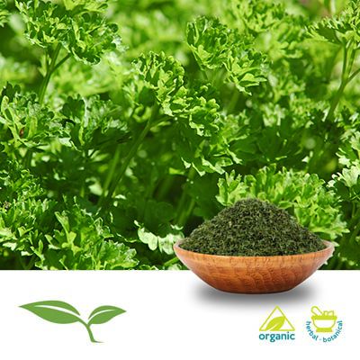 Parsley Leaf (Cut and Sift, Organic) by American Botanicals