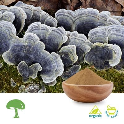 Organic Turkey Tail Mushroom Powder by Aloha Medicinals