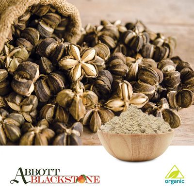 Organic Sacha Inchi Protein Powder (60%) by Abbott Blackstone