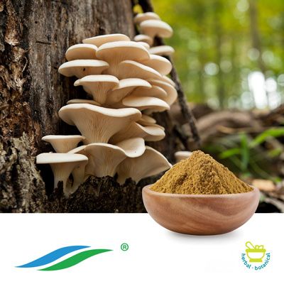 Oyster Mushroom Extract by Hunan NutraMax