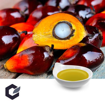 Palm Tocotrienols Oil 50% by BGG