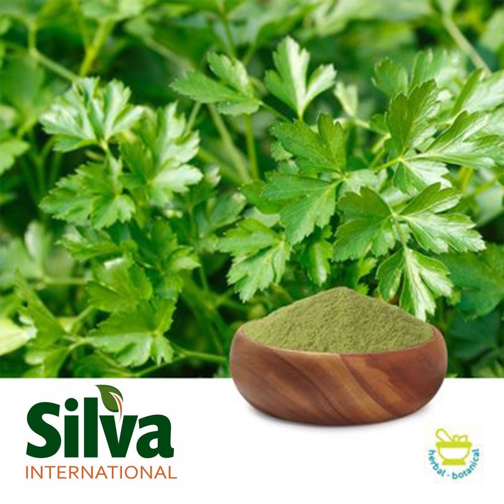 Wholesale Parsley Powder Ingredients Online