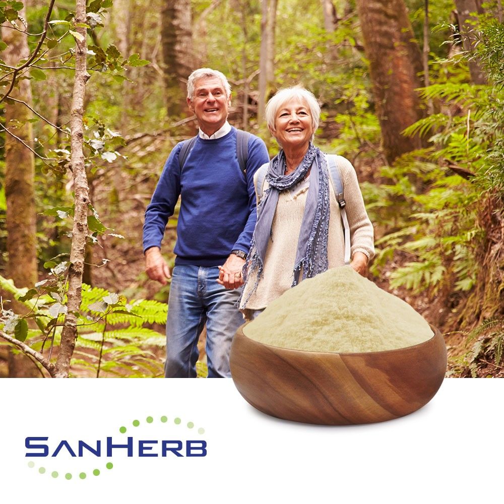 Phosphatidylserine 20%(Sunflower) by SanHerb