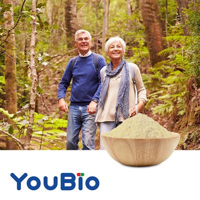 Phosphatidyl Serine 20% by YouBio