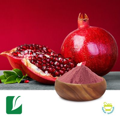 Pomegranate Fruit Powder by Xi'an Longze