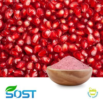 Pomegranate Juice Powder by SOST