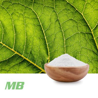 Powdered Cellulose by MB Supplements