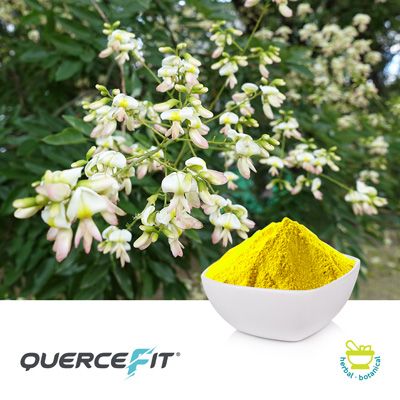 Quercefit® (Bioavailable Quercetin) by Indena