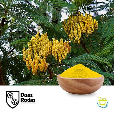 Quercetin Anhydrous Powder 95% by Duas Rodas