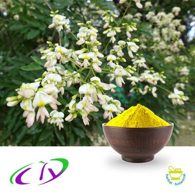 Quercetin Anhydrous 95% HPLC by Yangling Ciyuan Biotech