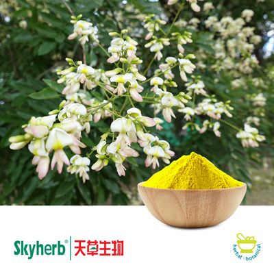 Quercetin Anhydrate Powder 95% by Skyherb