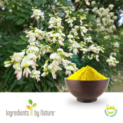 Quercetin Dihydrate Non-Irradiated (95% HPLC/98% UV) by Ingredients by Nature