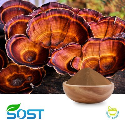 Reishi Extract 35% Polysaccharide by SOST