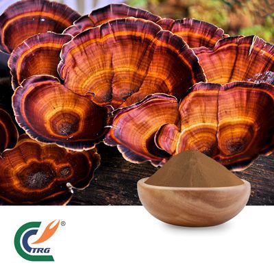 Reishi Mushroom Extract 35% Polysaccharides by UV by Hanzhong TRG
