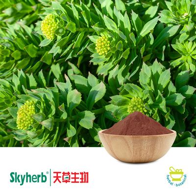 Rhodiola Rosea Extract Rosavins 1% by Skyherb