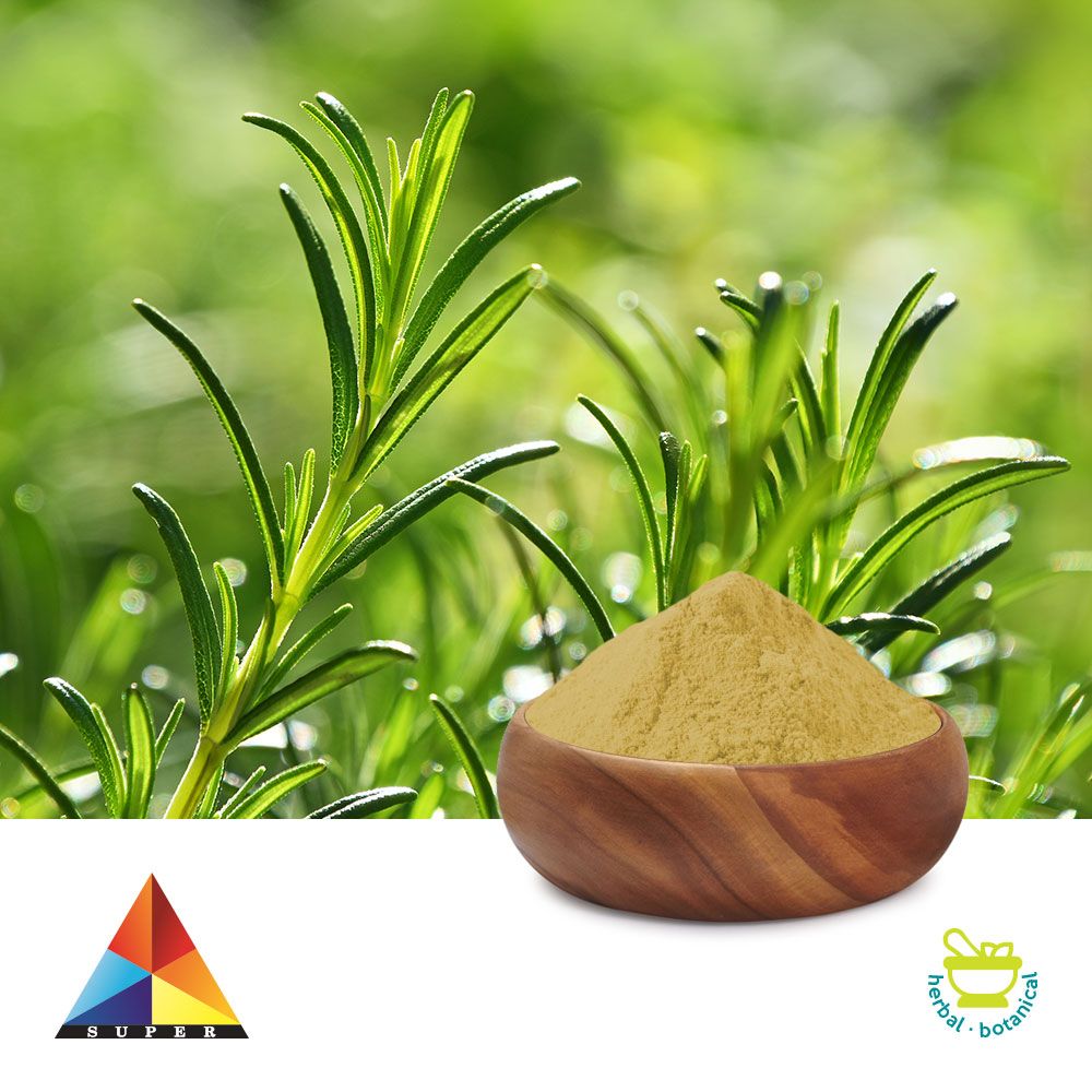Rosmarinic Acid 5% Powder by Super