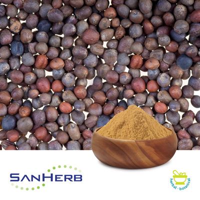 SanBroc® Broccoli Seed Extract 13% Glucoraphanin by SanHerb