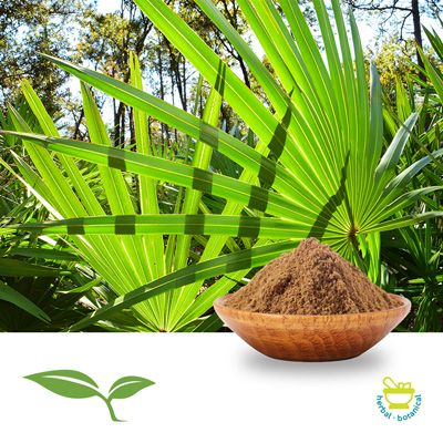Saw Palmetto Berry Powder by American Botanicals