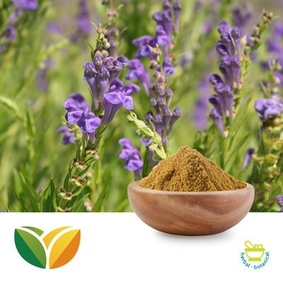Scutellaria Baicalensis P.E 30% Baicalin by Tianhua Pharmaceutical